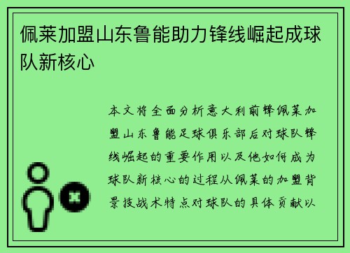 佩莱加盟山东鲁能助力锋线崛起成球队新核心 佩莱加盟山东鲁能助力锋线崛起成球队新核心
